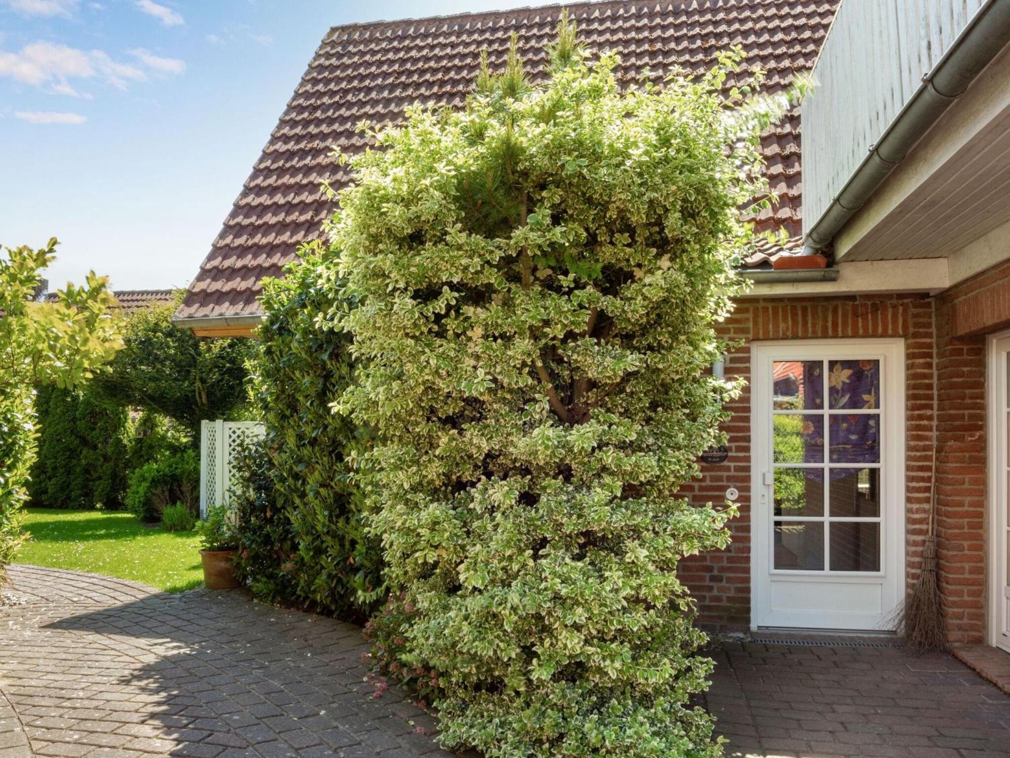 Enticing Holiday Home In Oldenburg With Garden Near Sea Dannau エクステリア 写真